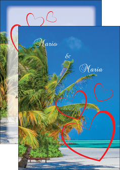 realiser flyers plage cocotier mer MLIG37749