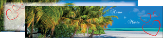 modele depliant 2 volets  4 pages  plage cocotier mer MLIG37757