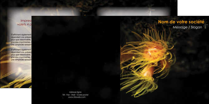 realiser depliant 2 volets  4 pages  animal meduse fond de mer plongee MIDBE37781