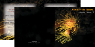 realiser depliant 2 volets  4 pages  animal meduse fond de mer plongee MIDBE37781