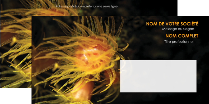 impression enveloppe animal meduse fond de mer plongee MIDBE37789