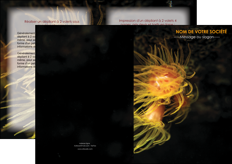 modele depliant 2 volets  4 pages  animal meduse fond de mer plongee MIDBE37797