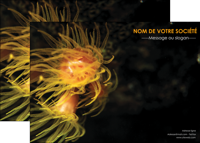 personnaliser modele de affiche animal meduse fond de mer plongee MIDBE37799