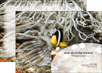 modele flyers animal poisson plongee nature MIDBE37895