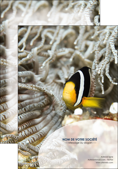 faire affiche animal poisson plongee nature MIDBE37901