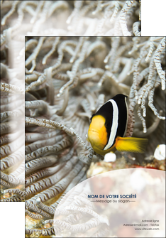 faire affiche animal poisson plongee nature MIDBE37901