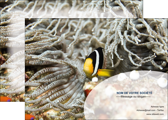 cree affiche animal poisson plongee nature MIDBE37925