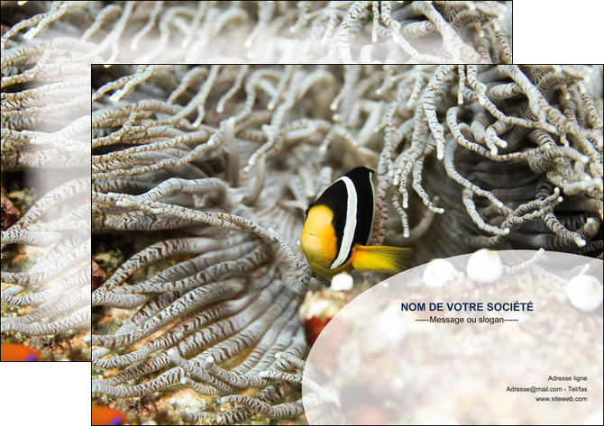 imprimerie affiche animal poisson plongee nature MIDBE37929