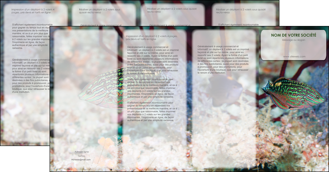 faire modele a imprimer depliant 4 volets  8 pages  plongee  poisson plongee nature MIDBE38155