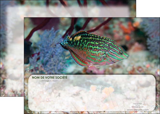 creation graphique en ligne affiche plongee  poisson plongee nature MIDBE38173