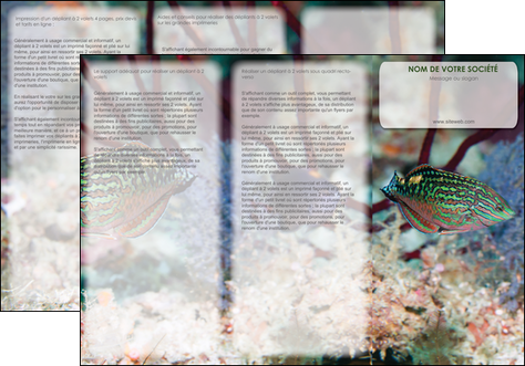 imprimer depliant 3 volets  6 pages  plongee  poisson plongee nature MIDBE38175
