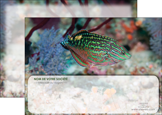 creation graphique en ligne flyers plongee  poisson plongee nature MIDBE38177