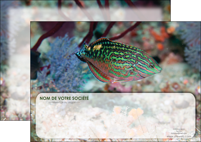 modele en ligne affiche plongee  poisson plongee nature MIDBE38181