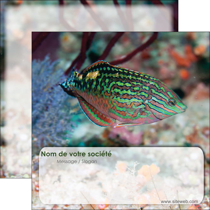 creer modele en ligne flyers plongee  poisson plongee nature MIDBE38183