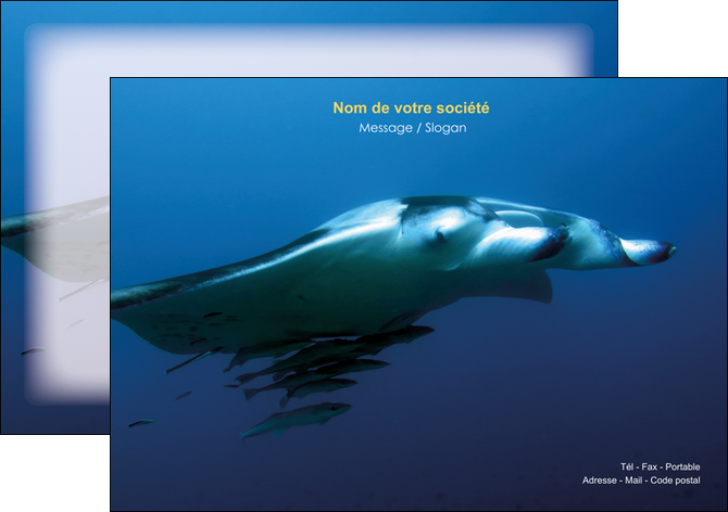 exemple flyers animal poissons animal plongee MIDBE38815