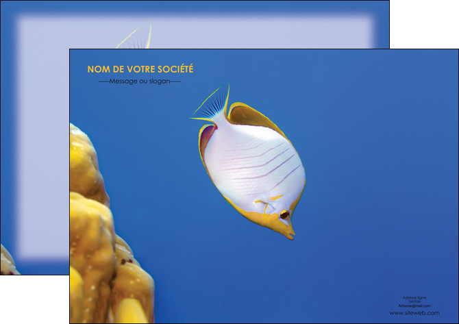impression flyers poisson et crustace poissons mer ocean MIDLU38861