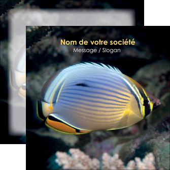 exemple flyers animal poisson animal nature MIDLU38925