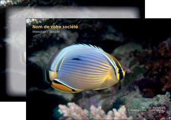creation graphique en ligne flyers animal poisson animal nature MIDLU38933