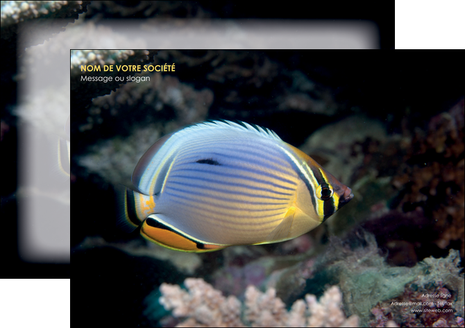 imprimer affiche animal poisson animal nature MIDLU38941