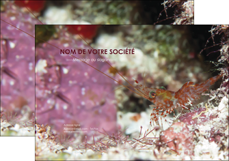 exemple flyers poisson et crustace crevette crustace animal MIDLU39013