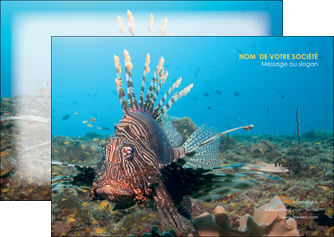 cree flyers animal poissons animal bleu MIDLU39571