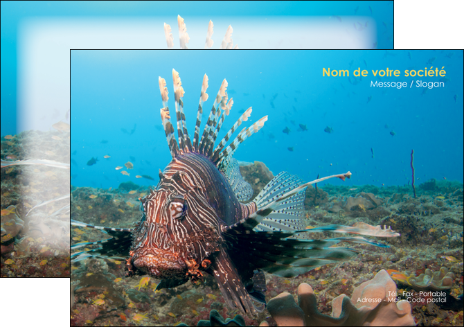 faire flyers animal poissons animal bleu MIDLU39575