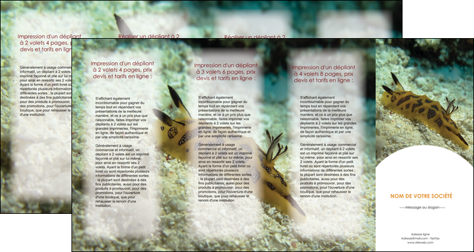 realiser depliant 4 volets  8 pages  animal crevette crustace animal MIDLU40129