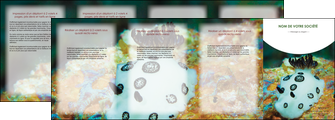 modele en ligne depliant 4 volets  8 pages  animal poisson sous marine nature MIDBE40161