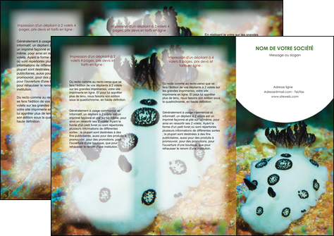 faire modele a imprimer depliant 3 volets  6 pages  animal poisson sous marine nature MIDBE40167