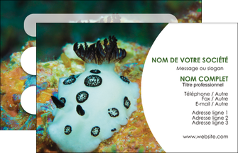 creation graphique en ligne carte de visite animal poisson sous marine nature MIDBE40173