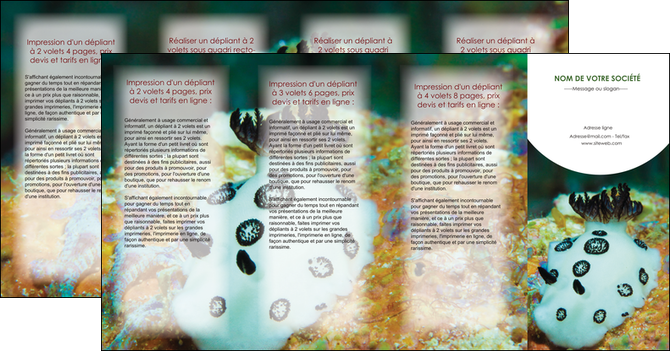 exemple depliant 4 volets  8 pages  animal poisson sous marine nature MIDBE40177