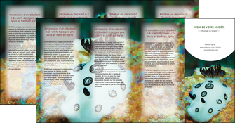 exemple depliant 4 volets  8 pages  animal poisson sous marine nature MIDBE40177