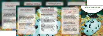 realiser depliant 4 volets  8 pages  animal poisson sous marine nature MIDBE40181