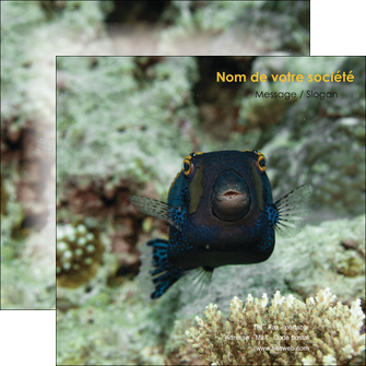 modele flyers animal poisson sous marine nature MIDBE40207