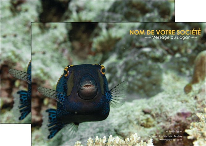 realiser flyers animal poisson sous marine nature MIDBE40211