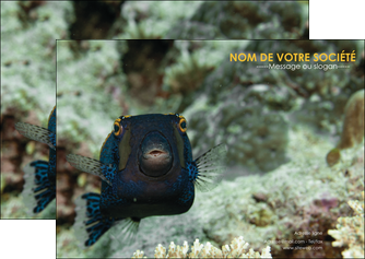 realiser flyers animal poisson sous marine nature MIDBE40211