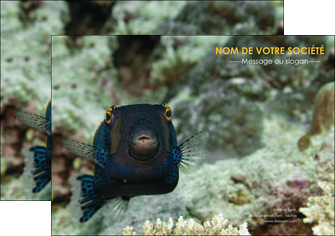 modele en ligne affiche animal poisson sous marine nature MIDBE40213