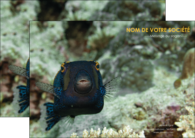 imprimerie flyers animal poisson sous marine nature MIDBE40231