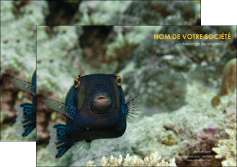 imprimerie flyers animal poisson sous marine nature MIDBE40231