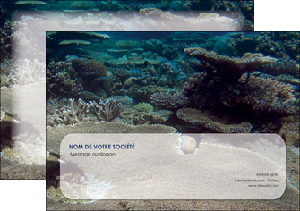 modele flyers plongee  massif de corail mer nature MIDBE40629