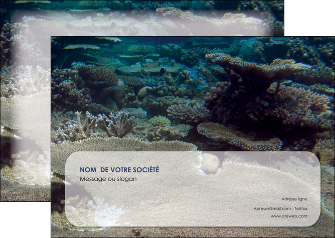 exemple flyers plongee  massif de corail mer nature MIDBE40635