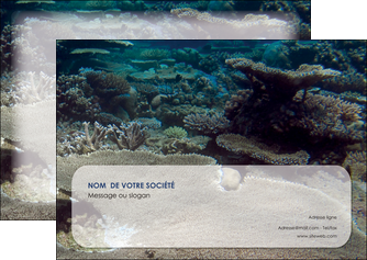 exemple flyers plongee  massif de corail mer nature MIDBE40635