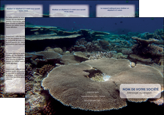 exemple depliant 3 volets  6 pages  plongee  massif de corail mer nature MIDBE40637