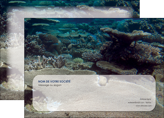 imprimer affiche plongee  massif de corail mer nature MIDBE40645